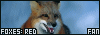 Foxy the fanlisting for red foxes